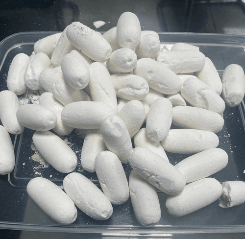DRI seizes cocaine valued at Rs 24.5 crore at Hyderabad Airport