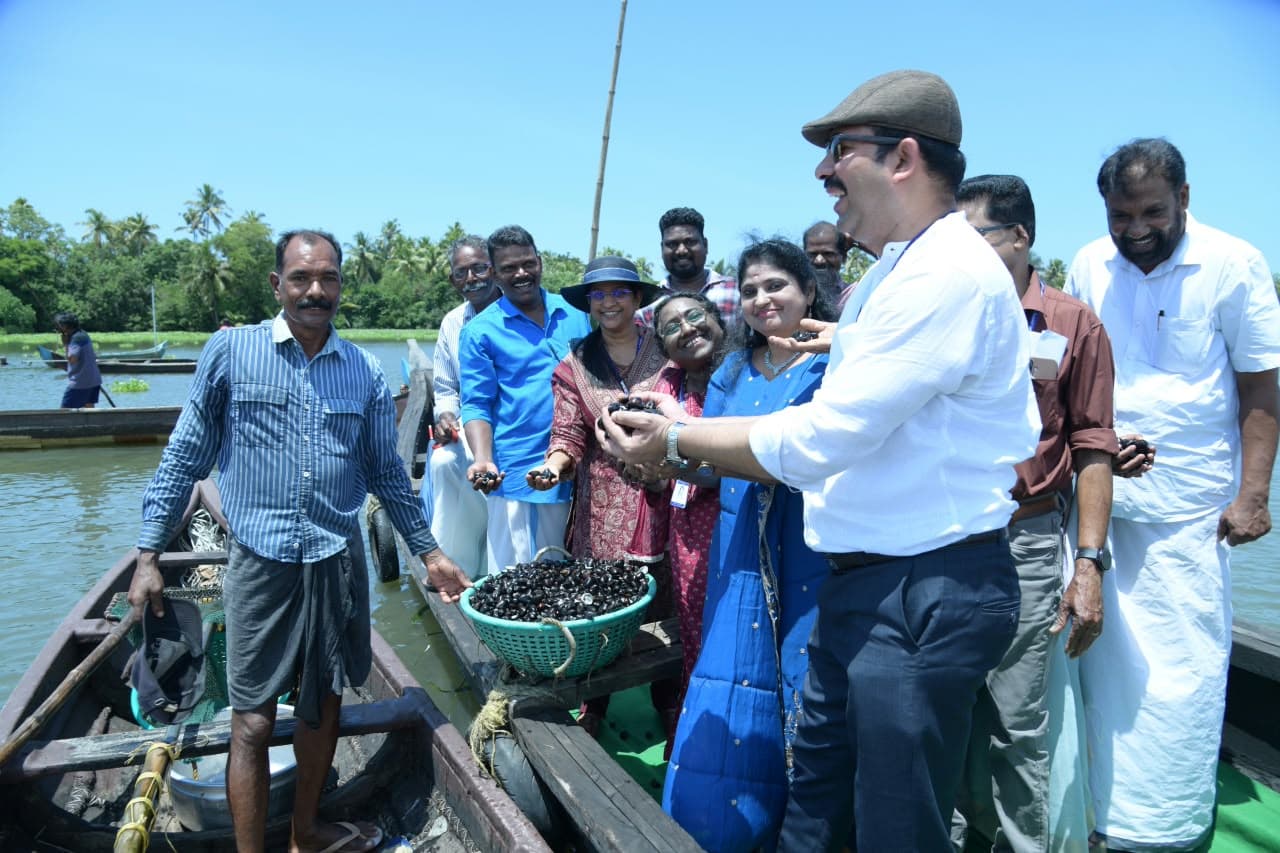 CMFRI project offers fresh hope for declining Vembanad black clam