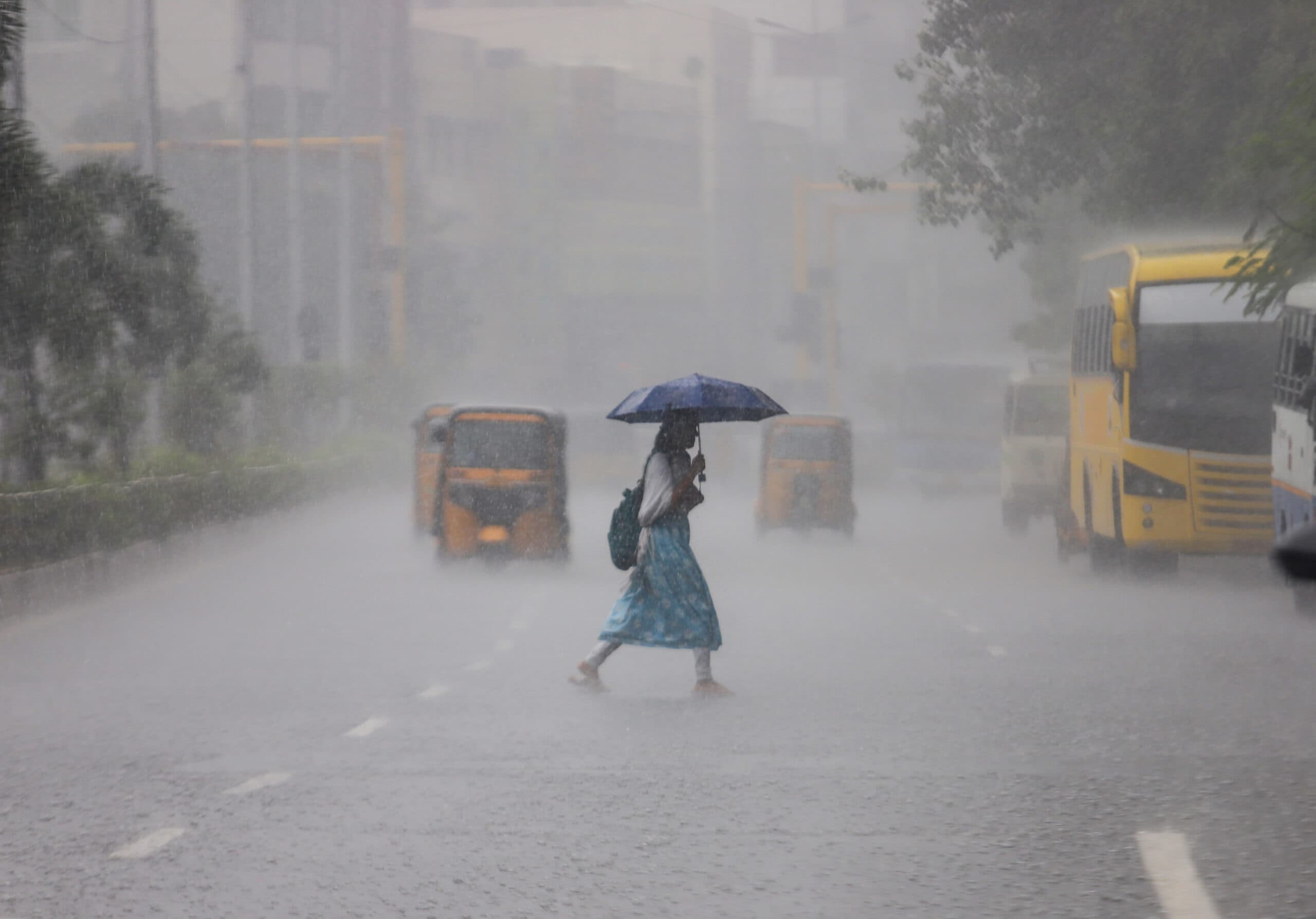 Chennai: A woman carries an umbrella while walking during rainfall in Chennai on Tuesday, December 16, 2025. (Photo: IANS)