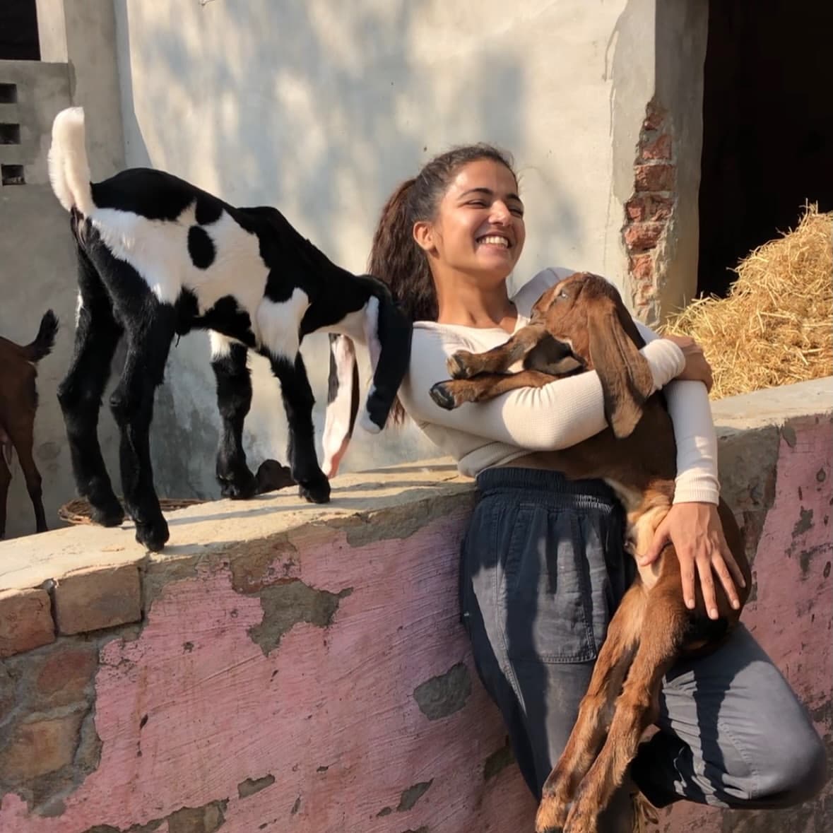 Wamiqa Gabbi urges kindness towards animals: Let’s make this world a little safer